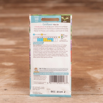 Cornflower Polka Dot - image 2