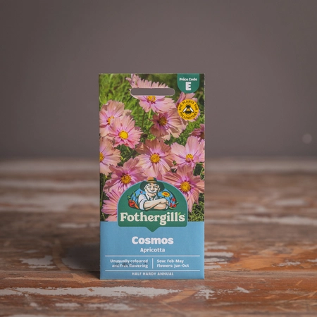 Cosmos Apricotta - image 1