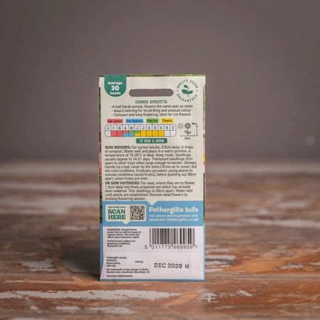 Cosmos Apricotta - image 2