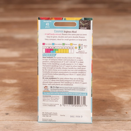 Cosmos Brightness Mix - image 2