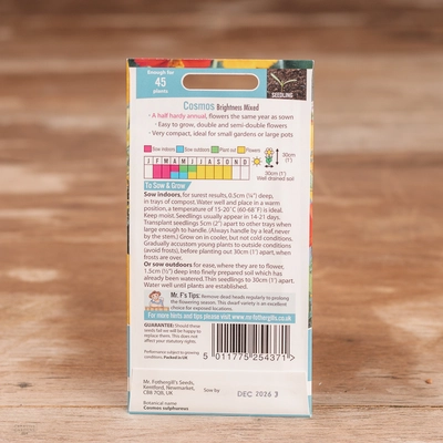 Cosmos Brightness Mix - image 2