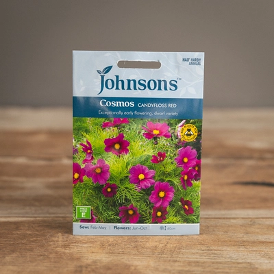 Cosmos Candyfloss Red - image 1