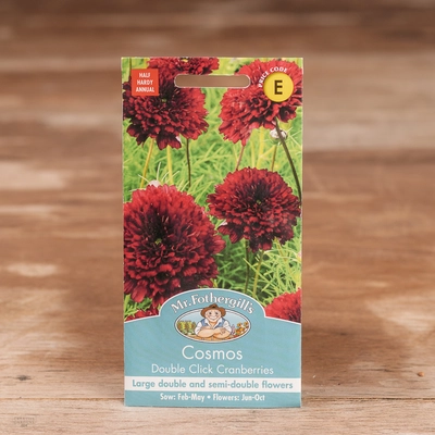 Cosmos Double Click Cranberry