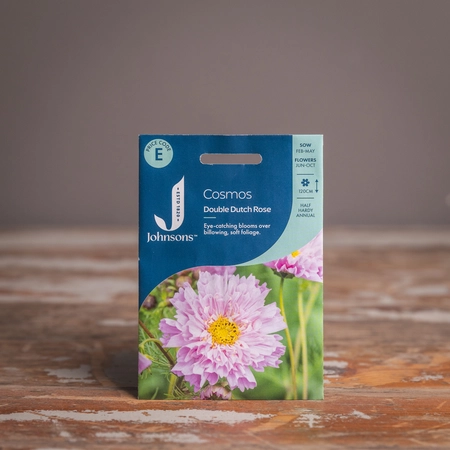 Cosmos Double Dutch Rose - image 1