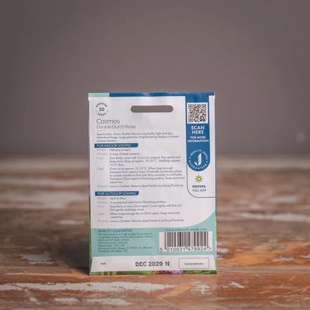 Cosmos Double Dutch Rose - image 2