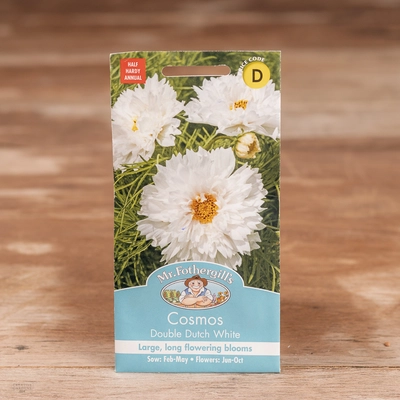 Cosmos Double Dutch White - image 1