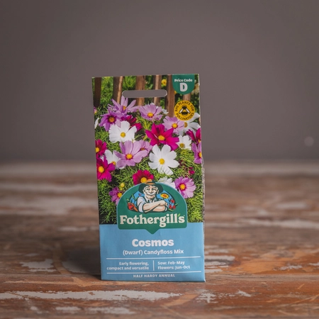 Cosmos (Dwarf) Candyfloss Mix - image 1