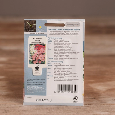 Cosmos Dwarf Sensation Mix - image 2