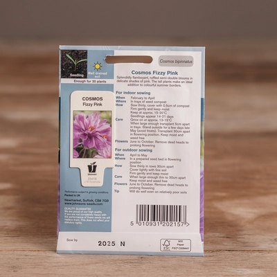 Cosmos Fizzy Pink - image 2