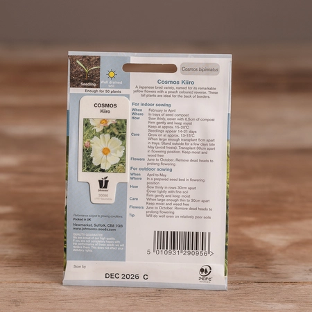Cosmos Kiiro - image 2