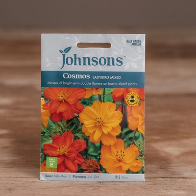Cosmos Ladybird Mix - image 1