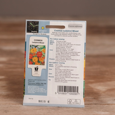 Cosmos Ladybird Mix - image 2