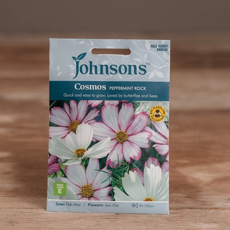 Cosmos Peppermint Rock - image 1