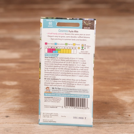 Cosmos Psyche White - image 2