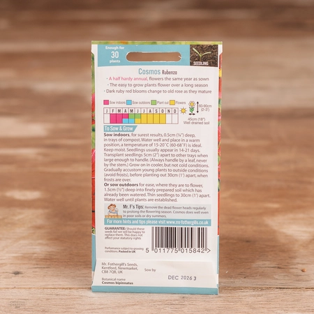 Cosmos Rubenza - image 2