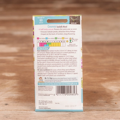 Cosmos Seashells Mix - image 2