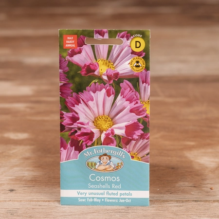 Cosmos Seashells Red - image 1