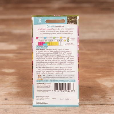 Cosmos Seashells Red - image 2