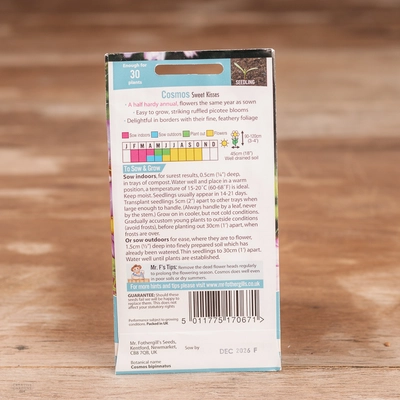 Cosmos Sweet Kisses - image 2