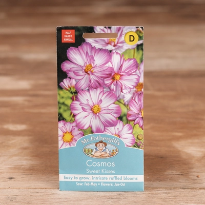 Cosmos Sweet Kisses