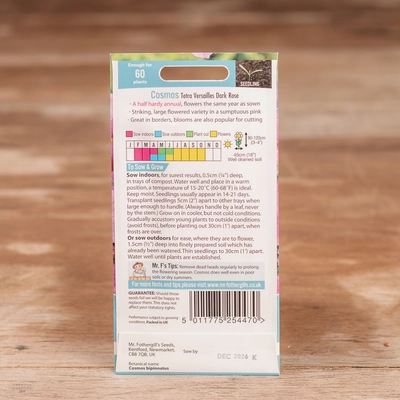 Cosmos Tetra Versailles Dark Rose - image 2