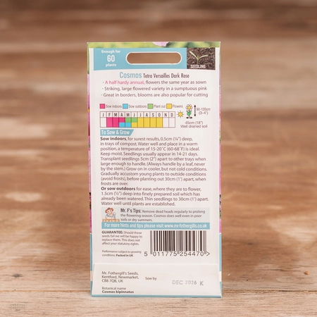 Cosmos Tetra Versailles Dark Rose - image 2