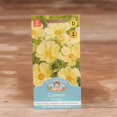 Cosmos Xanthos - image 1