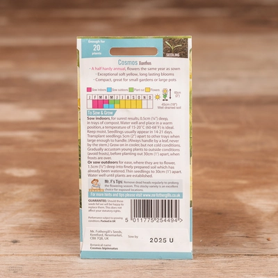 Cosmos Xanthos - image 2