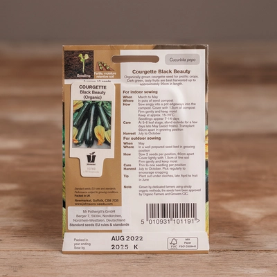 Courgette Black Beauty Organic - image 2