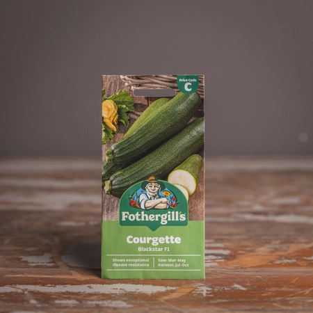 Courgette Blackstar F1 - image 1