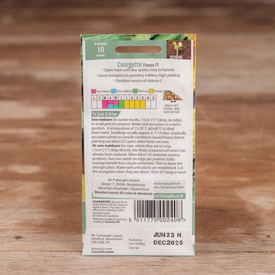 Courgette Firenze F1 - image 2