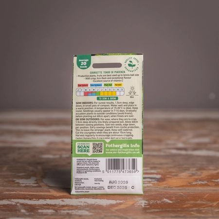 Courgette Tondo Di Piacenza - image 2