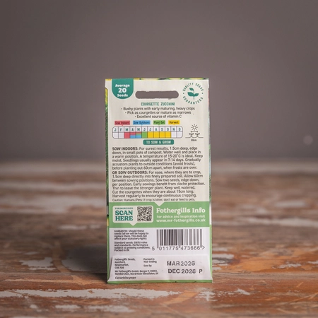 Courgette Zucchini - image 2