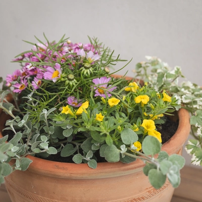 Creative Gardens Pinks and Yellows - Large
