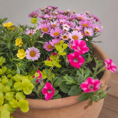 Creative Gardens Pinks and Yellows - Medium