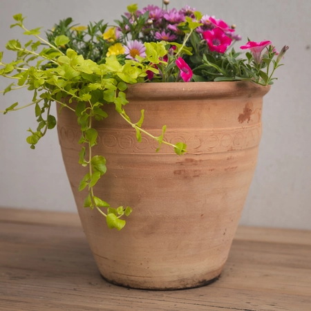 Creative Gardens Pinks and Yellows - Medium