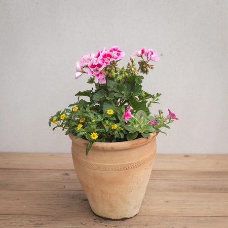 Creative Gardens Pinks and Yellows - Small