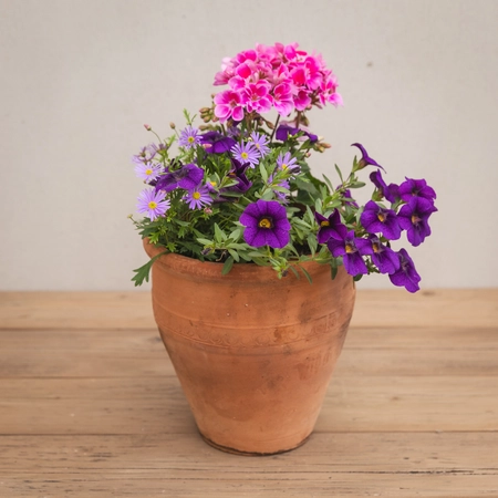 Creative Gardens Planted Container Bright Pinks and Purples