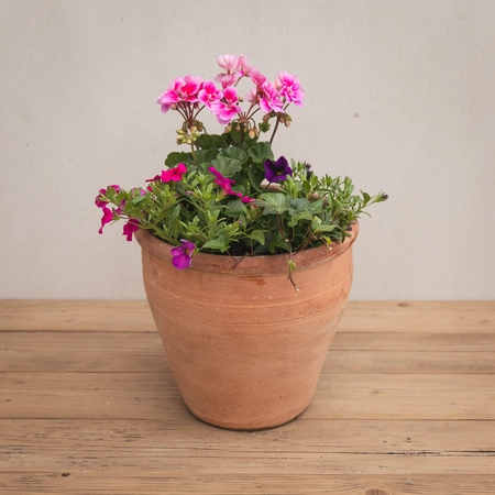 Creative Gardens Planted Container Bright Pinks and Purples - Medium