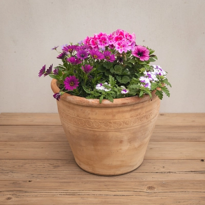 Creative Gardens Planted Container Bright Pinks and Purples - Large