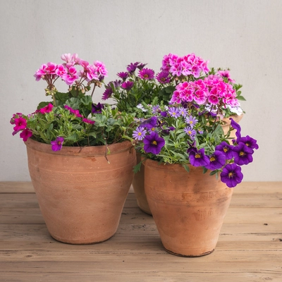 Creative Gardens Planted Container Bright Pinks and Purples - Large