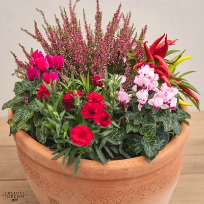 Creative Gardens Planted Container Pink, Red & Silver - Large - image 2