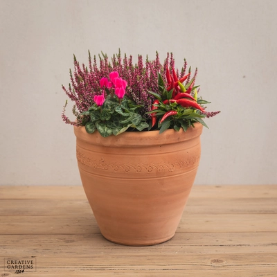 Creative Gardens Planted Container Pink, Red & Silver - Medium