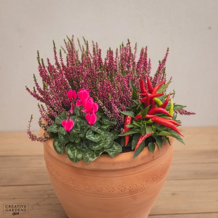 Creative Gardens Planted Container Pink, Red & Silver - Medium - image 2