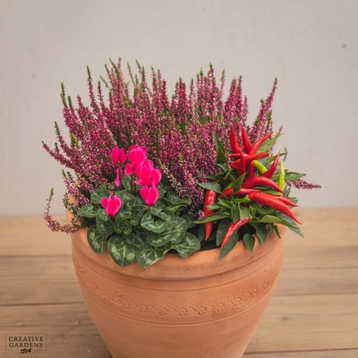 Creative Gardens Planted Container Pink, Red & Silver - Medium - image 2