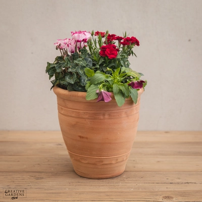 Creative Gardens Planted Container Pink, Red & Silver - Small - image 1