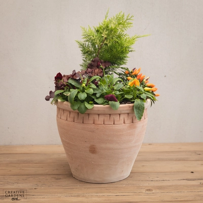 Creative Gardens Planted Container Plum & Orange - Large - image 1