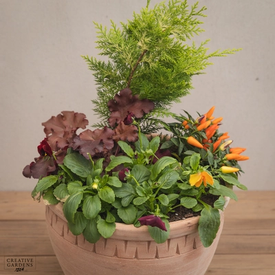 Creative Gardens Planted Container Plum & Orange - Large - image 2