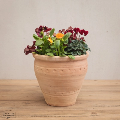Creative Gardens Planted Container Plum & Orange - Medium - image 1
