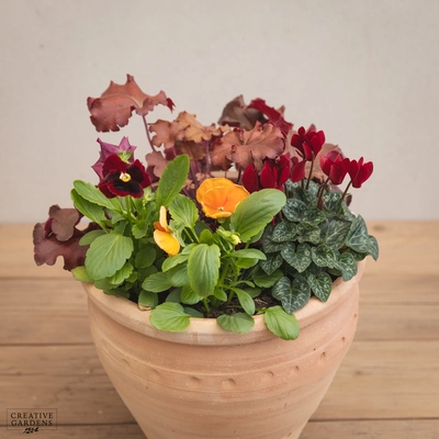 Creative Gardens Planted Container Plum & Orange - Medium - image 2